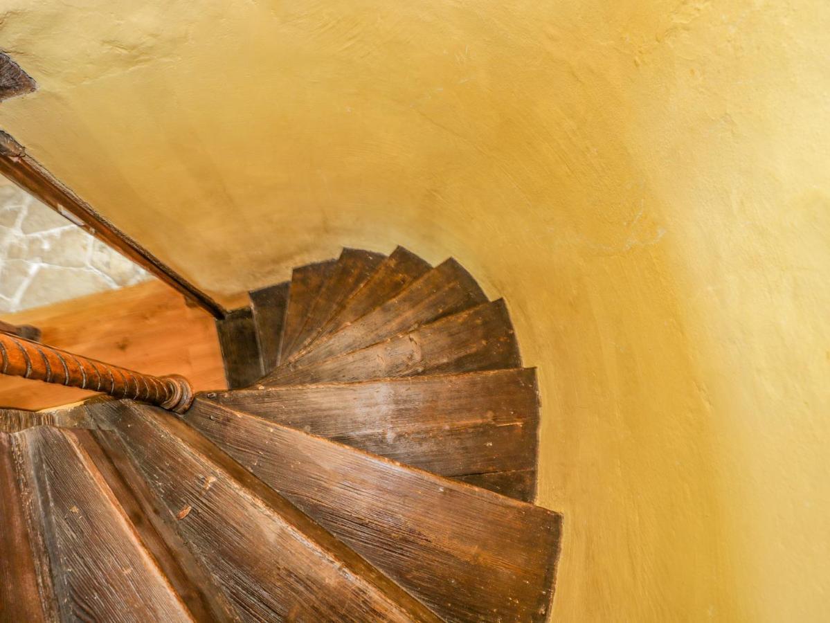 Fox Den Cottage كاسل كومب المظهر الخارجي الصورة