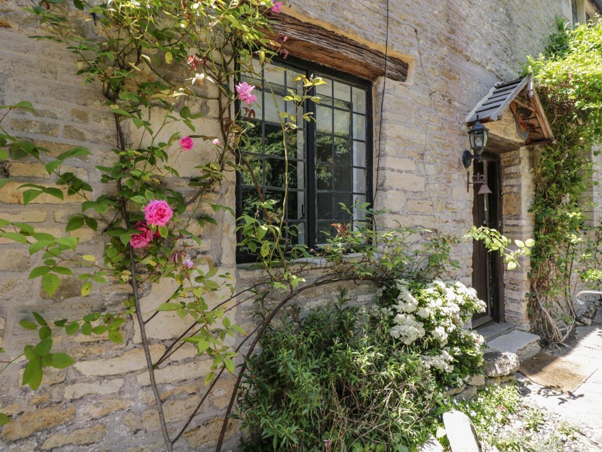 Fox Den Cottage كاسل كومب المظهر الخارجي الصورة