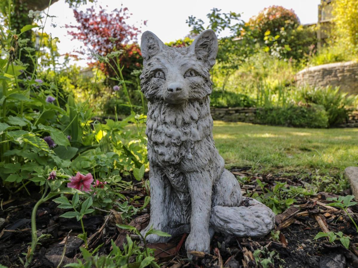 Fox Den Cottage كاسل كومب المظهر الخارجي الصورة