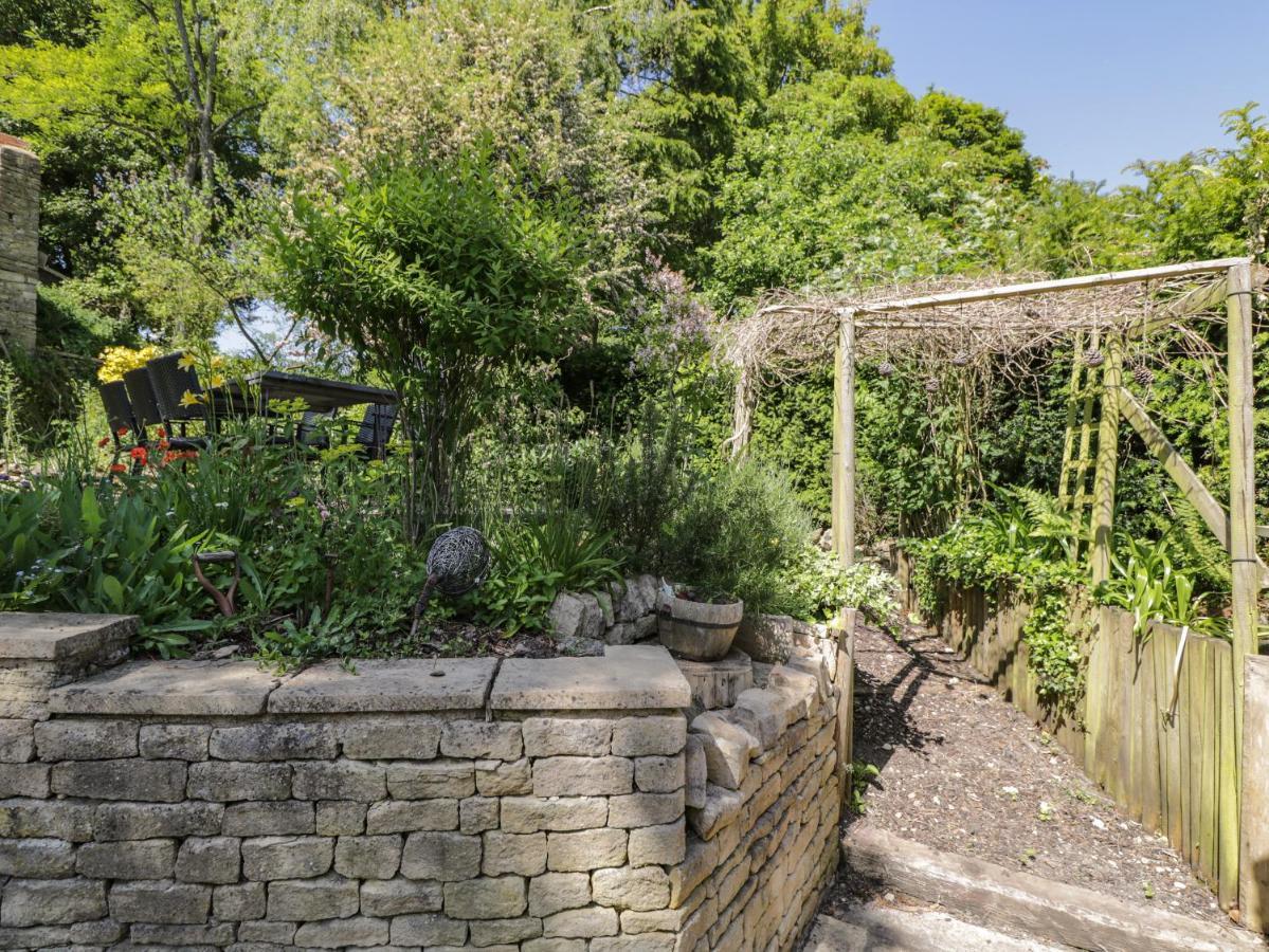 Fox Den Cottage كاسل كومب المظهر الخارجي الصورة