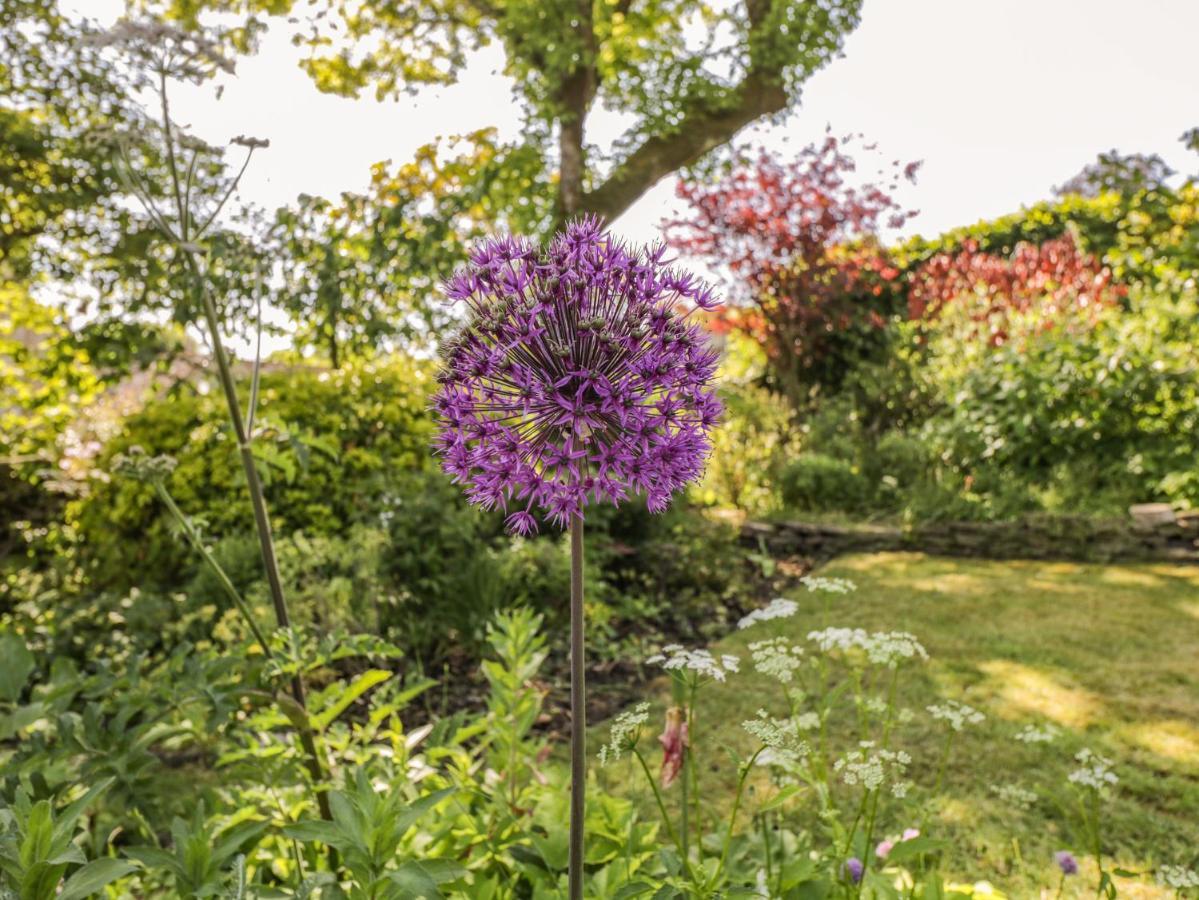 Fox Den Cottage كاسل كومب المظهر الخارجي الصورة