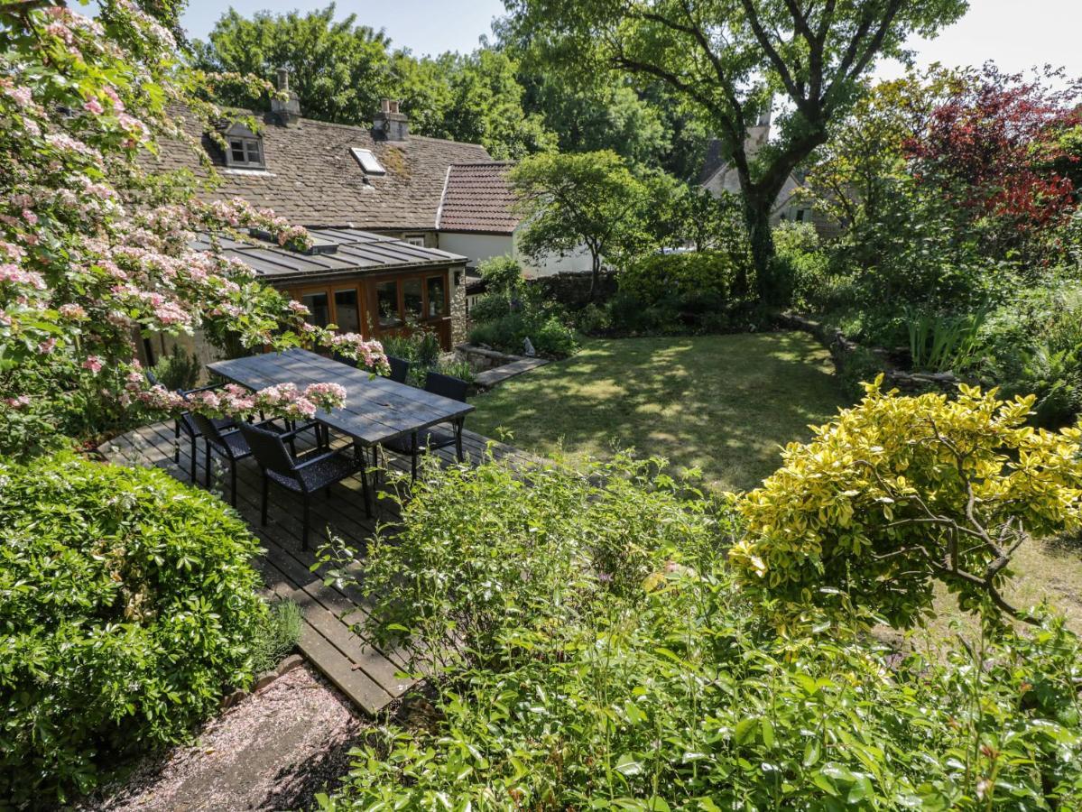 Fox Den Cottage كاسل كومب المظهر الخارجي الصورة