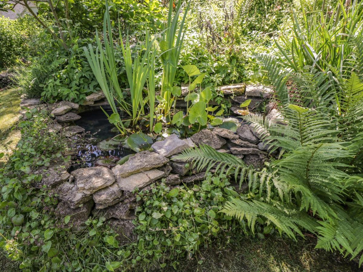 Fox Den Cottage كاسل كومب المظهر الخارجي الصورة